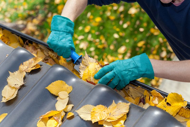 Gutter Cover Installation in Fall